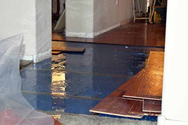 Professional Flood Cleanup technician working in Ledyard, CT